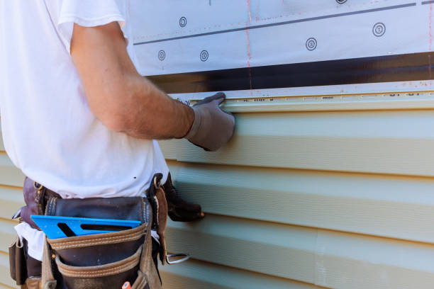 Best Steel Siding Installation  in Desnso, CA